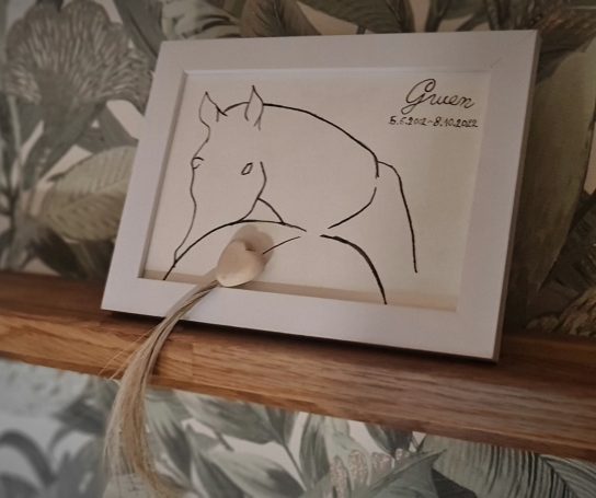 
Gwyn war mein Nachwuchspferd und hat mich jeden Tag aufs Neue gefordert. Ihre Seele war fein, sens